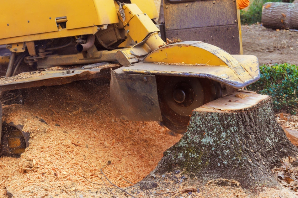 Stump Grinding